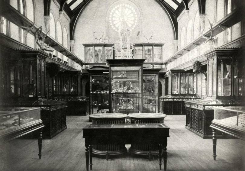 University College; Interior, west hall (museum), 1890